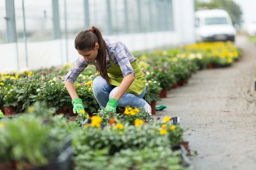 Gardener inspecting a residential lawn before mowing