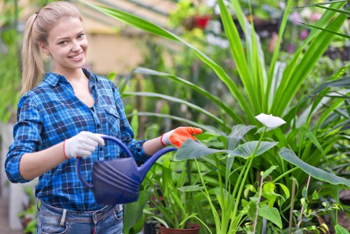 Professional lawn mowing service in Peckham