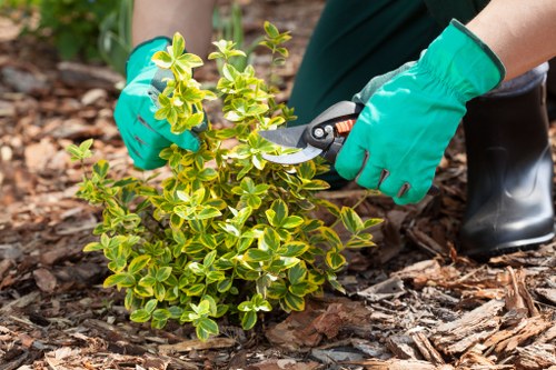 Measuring green waste in bags for removal in Peckham garden