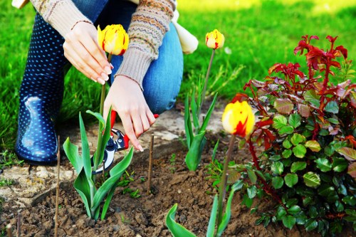 Beautifully maintained lawn by About Us Lawn Mowing Peckham