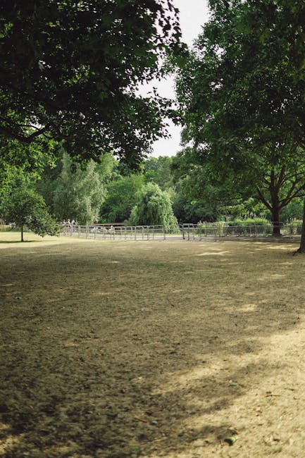 A well-maintained grassy area within Peckham Rye Park features twelve wooden deck chairs with green and white striped fabric seats arranged in two groups, facing different directions. The lush grass i